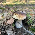Vakantiehuis Dom Z Linia Brzegowa Narwi Pułtusk