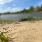 Dom Z Linia Brzegowa Narwi * Pułtusk