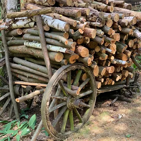 Dom Z Linia Brzegowa Narwi Vakantiehuis Pułtusk