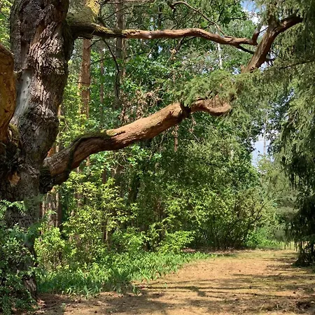 Dom Z Linia Brzegowa Narwi * Пултуск