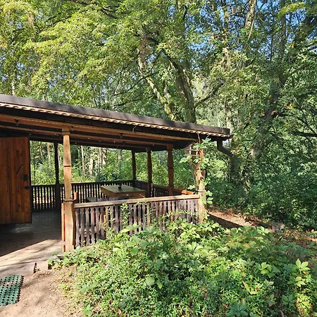 Dom Z Linia Brzegowa Narwi Σπίτι διακοπών *