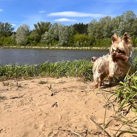 Dom Z Linia Brzegowa Narwi Дом отдыха Пултуск