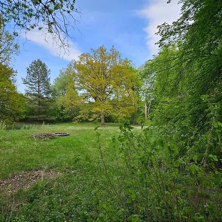 Dom Z Linia Brzegowa Narwi *