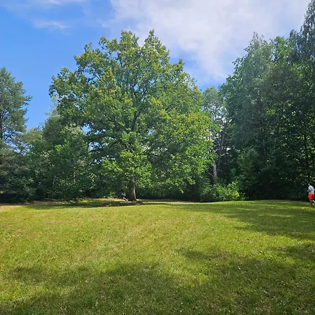 Dom Z Linia Brzegowa Narwi