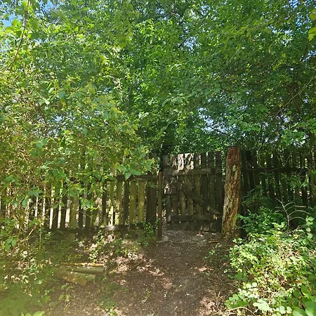 Dom Z Linia Brzegowa Narwi * Пултуск