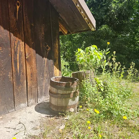 Dom Z Linia Brzegowa Narwi Hébergement de vacances Pułtusk