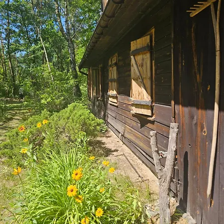 Dom Z Linia Brzegowa Narwi