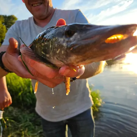 Dom Z Linia Brzegowa Narwi Vakantiehuis