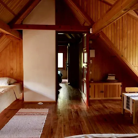 Dom Z Linia Brzegowa Narwi *