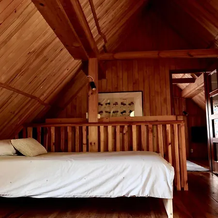 Dom Z Linia Brzegowa Narwi Σπίτι διακοπών *