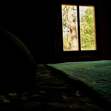 Dom Z Linia Brzegowa Narwi Σπίτι διακοπών