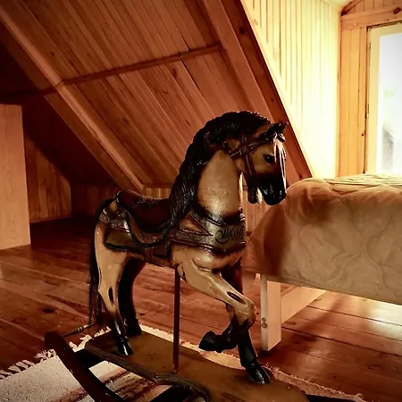 Dom Z Linia Brzegowa Narwi *