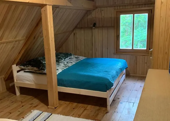 Dom Z Linia Brzegowa Narwi Pułtusk