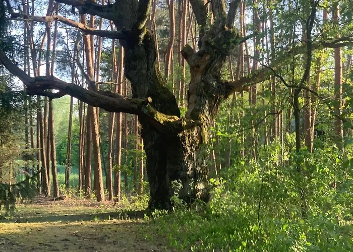 Vakantiehuis Dom Z Linia Brzegowa Narwi Pułtusk