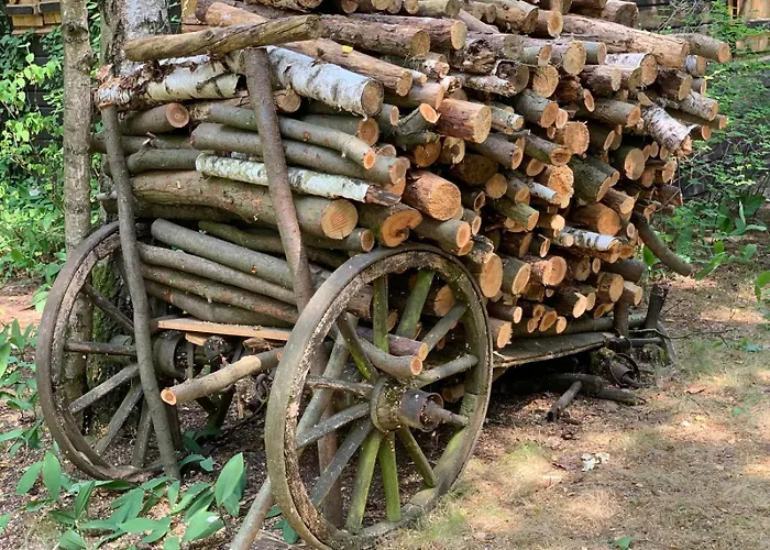 Dom Z Linia Brzegowa Narwi Vakantiehuis Pułtusk