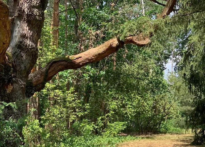 Dom Z Linia Brzegowa Narwi * Pułtusk