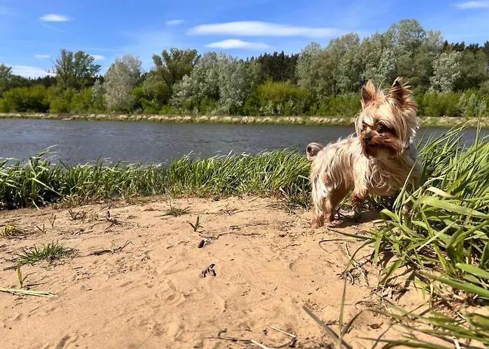 Dom Z Linia Brzegowa Narwi Vakantiehuis Pułtusk