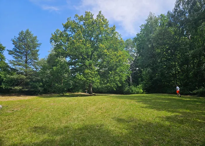 Dom Z Linia Brzegowa Narwi