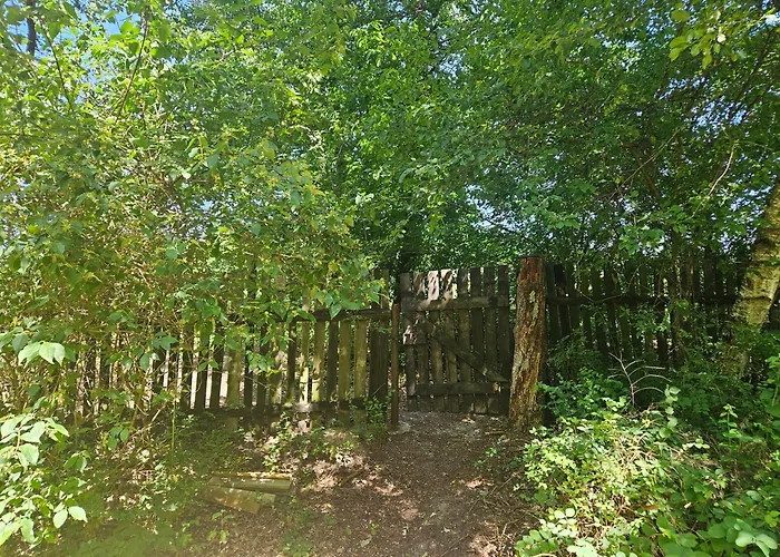 Dom Z Linia Brzegowa Narwi * Pułtusk