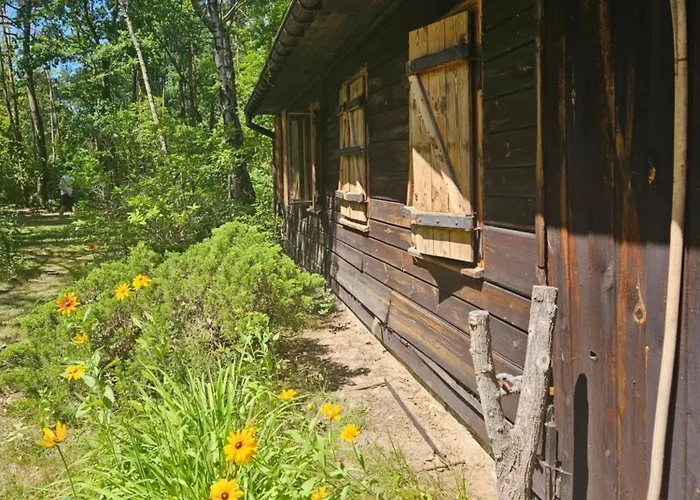 Dom Z Linia Brzegowa Narwi