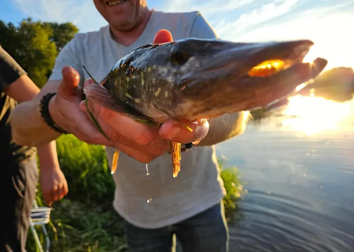 Dom Z Linia Brzegowa Narwi Vakantiehuis