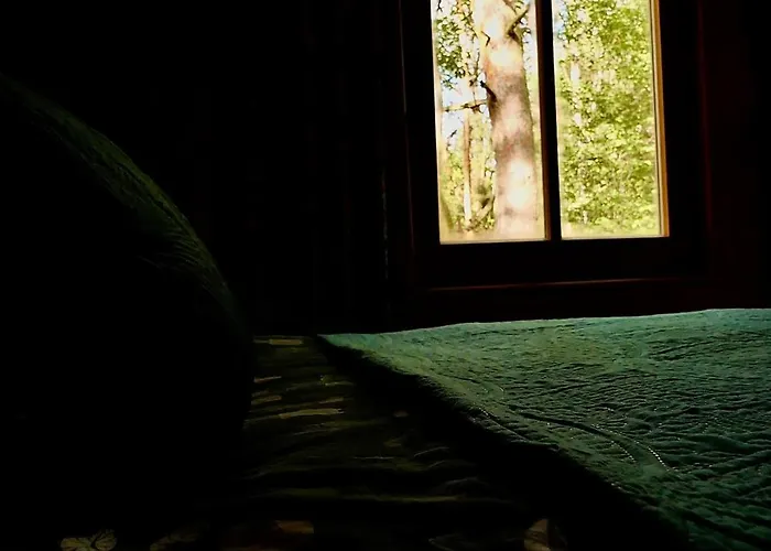 Dom Z Linia Brzegowa Narwi Vakantiehuis